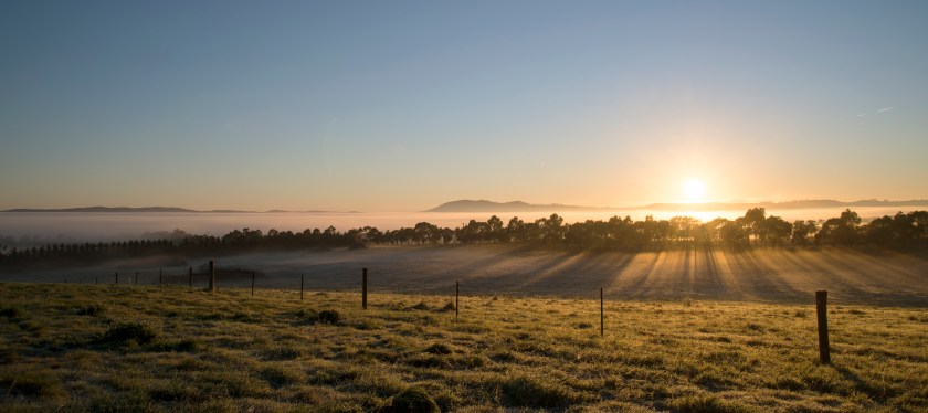 sun rise bore paddock